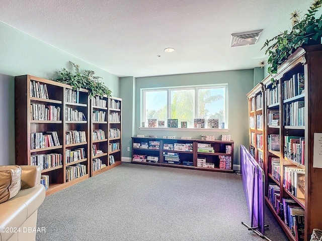 interior space with carpet and a textured ceiling