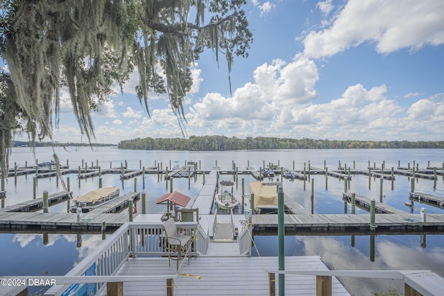 dock area with a water view