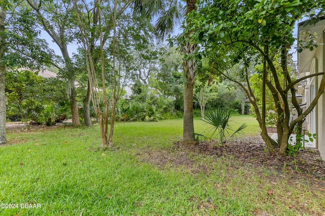 21 N Village Dr, Palm Coast, FL 32137 - photo 38