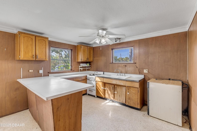 kitchen with sink, stainless steel gas range oven, kitchen peninsula, and wood walls