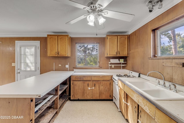 kitchen featuring wooden walls, sink, white gas stove, and a wealth of natural light