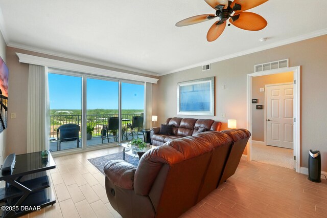 2801 S Ridgewood Ave Unit 905, South Daytona, FL 32119 - photo 13
