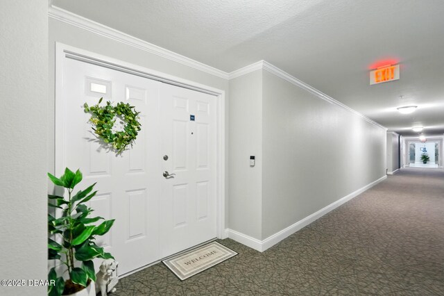 2801 S Ridgewood Ave Unit 905, South Daytona, FL 32119 - photo 8