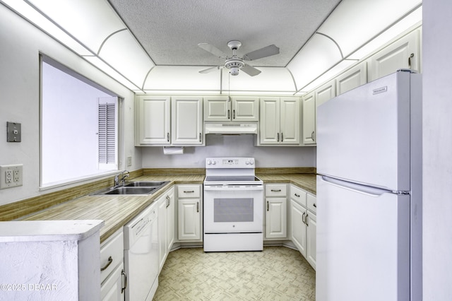 kitchen with under cabinet range hood, white appliances, a textured ceiling, a ceiling fan, and a sink