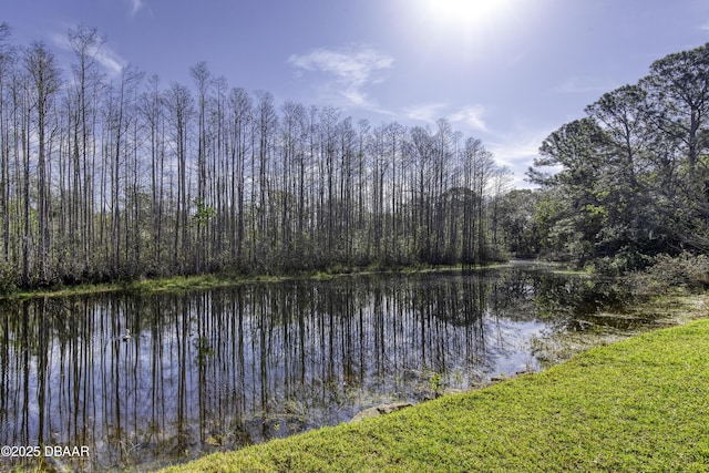 water view featuring a forest view