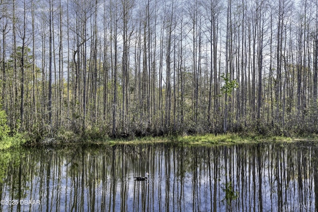 water view featuring a view of trees