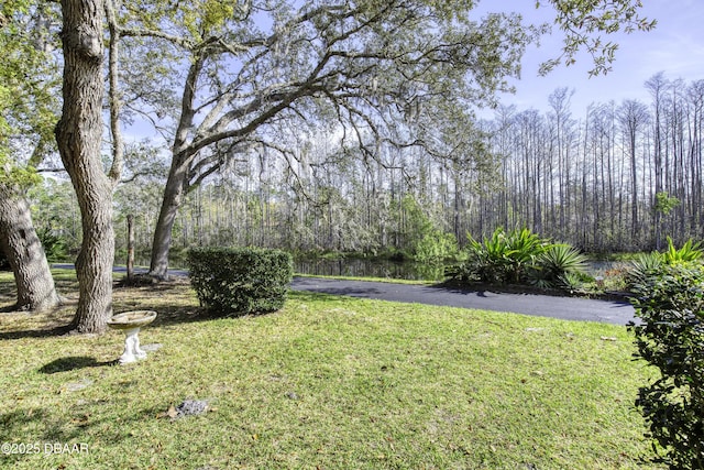 view of yard with a wooded view