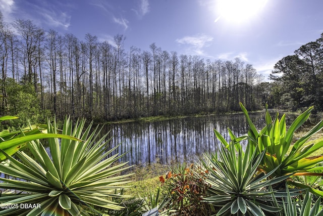 view of water feature with a wooded view