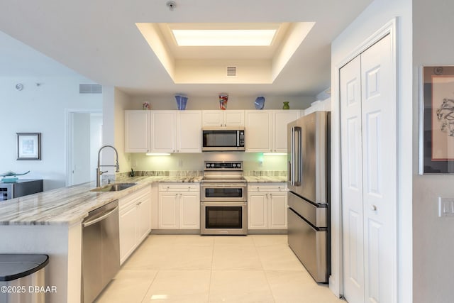 kitchen with light stone counters, a tray ceiling, appliances with stainless steel finishes, a sink, and a peninsula