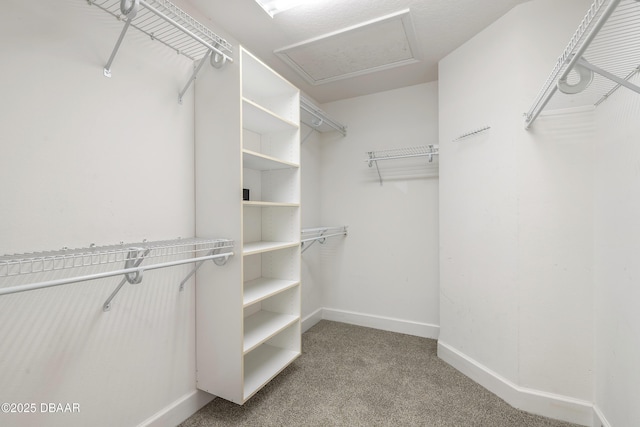 spacious closet with carpet floors