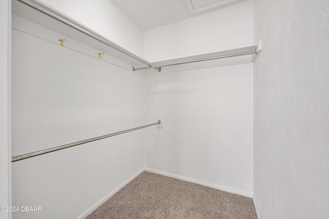 36 Dresden Cir, Ormond Beach, FL 32174 - spacious closet with carpet floors