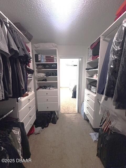 spacious closet with carpet flooring