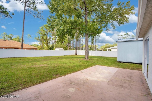 view of yard featuring a patio area