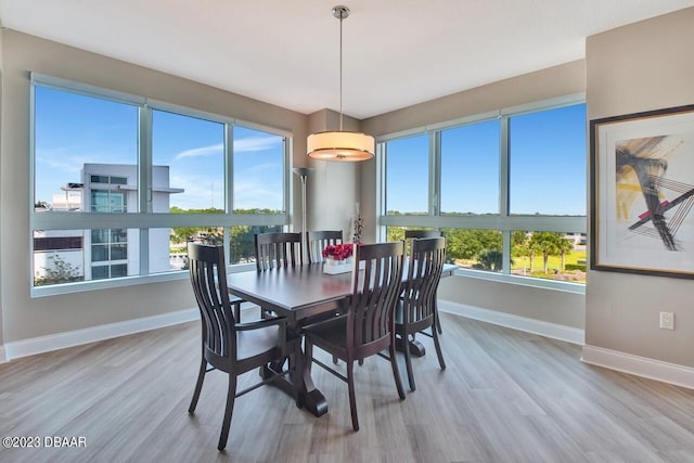 241 Riverside Dr Unit 410, Holly Hill, FL 32117 - dining space featuring baseboards and wood finished floors