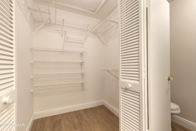 walk in closet featuring wood-type flooring