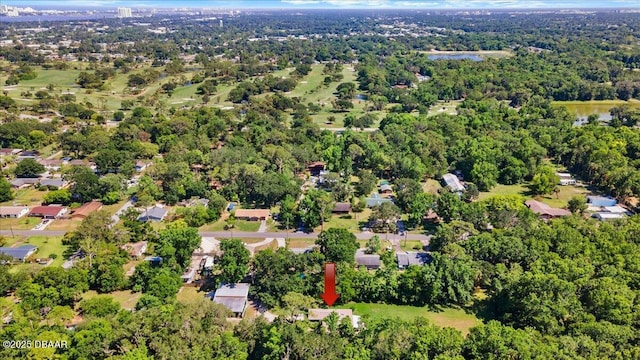 771 Arroyo Pkwy, Ormond Beach, FL 32174 - aerial view of property's location featuring a nearby body of water and a heavily wooded area