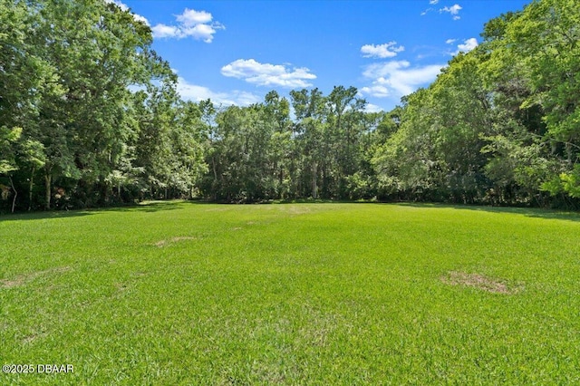 771 Arroyo Pkwy, Ormond Beach, FL 32174 - view of green lawn