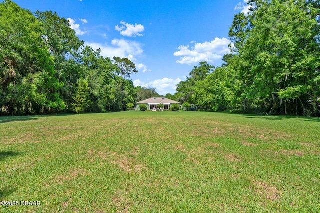 771 Arroyo Pkwy, Ormond Beach, FL 32174 - view of grassy yard featuring a forest view