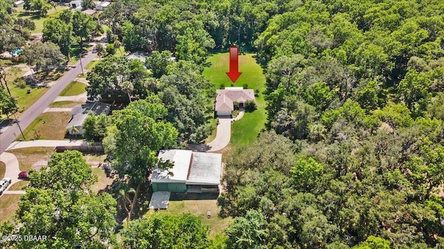 771 Arroyo Pkwy, Ormond Beach, FL 32174 - aerial view of property's location with a forest