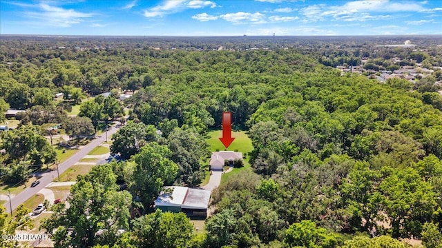771 Arroyo Pkwy, Ormond Beach, FL 32174 - drone / aerial view of a forest