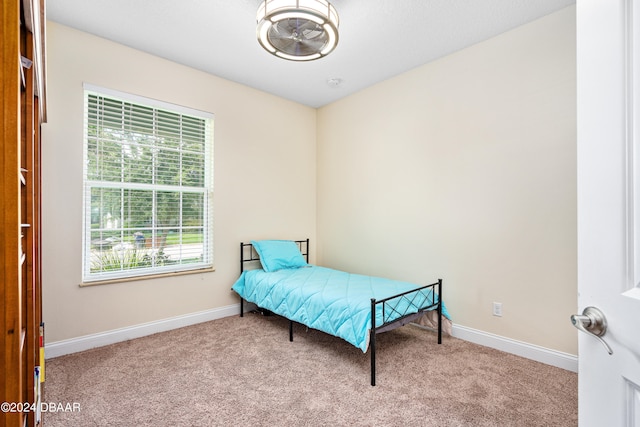 3651 Pini Ave, New Smyrna Beach, FL 32168 - view of carpeted bedroom