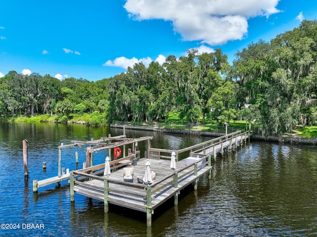 dock area featuring a water view