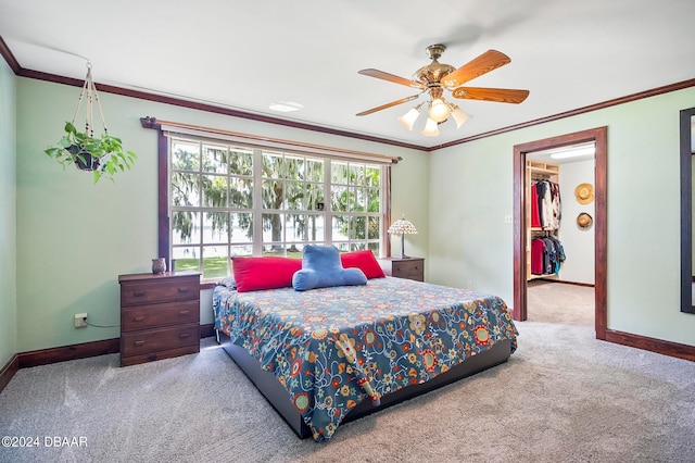 carpeted bedroom featuring ceiling fan, crown molding, and a walk in closet