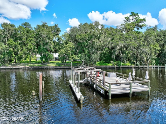 dock area with a water view