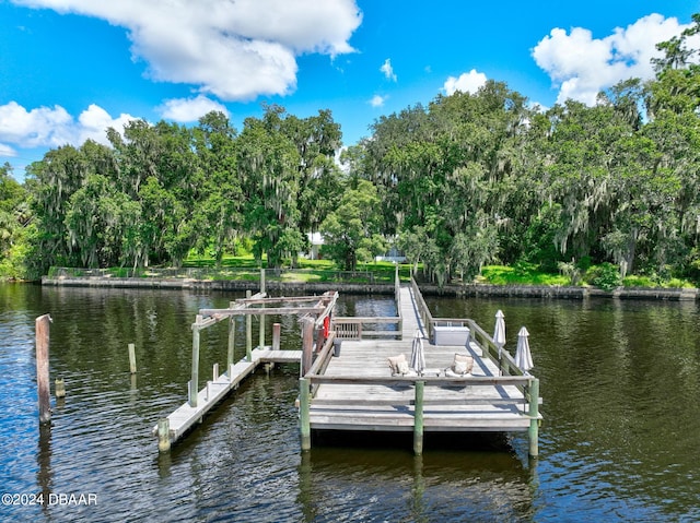 dock area featuring a water view