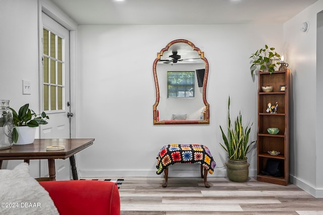 living area featuring light hardwood / wood-style floors and ceiling fan