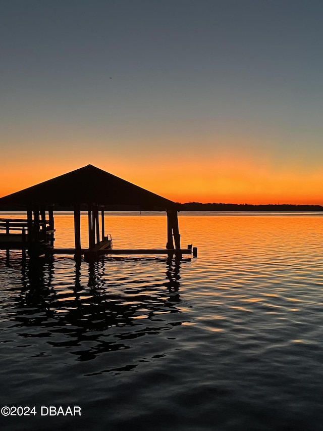 dock area with a water view