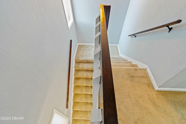 stairway featuring carpet flooring