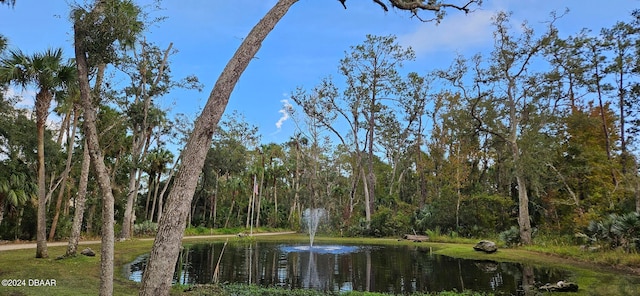 view of water feature