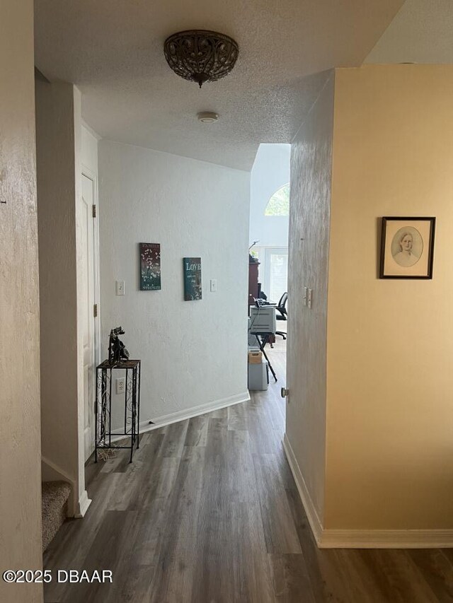 539 Lake Bridge Dr, Ormond Beach, FL 32174 - hall featuring wood finished floors and baseboards