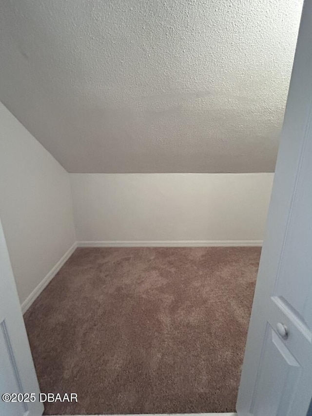 539 Lake Bridge Dr, Ormond Beach, FL 32174 - additional living space featuring carpet flooring, a textured ceiling, lofted ceiling, and baseboards