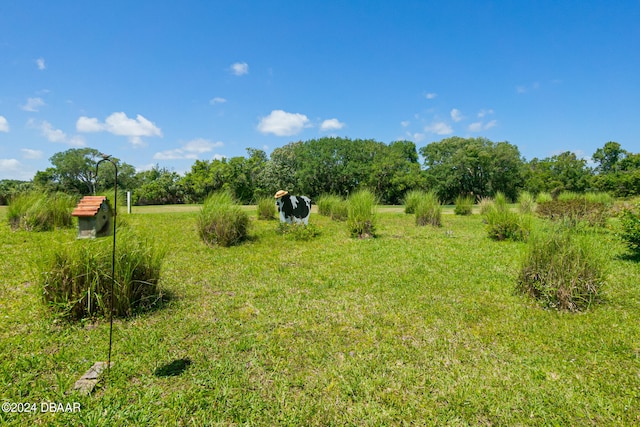 view of yard featuring a rural view