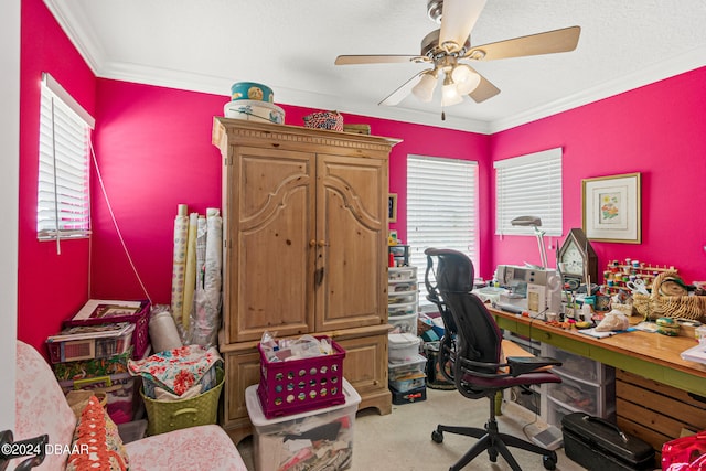 office featuring carpet flooring, ceiling fan, and crown molding