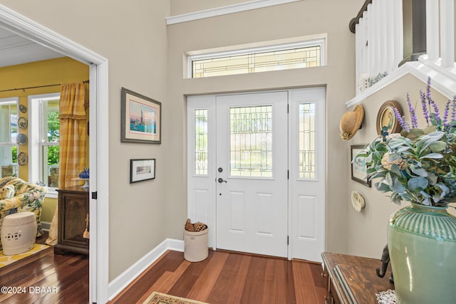 entrance foyer with dark wood-type flooring and a healthy amount of sunlight