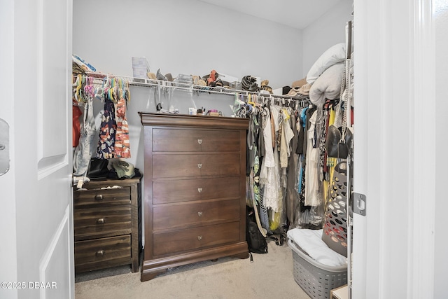 walk in closet with carpet floors