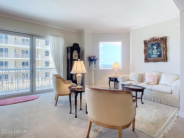 living area with carpet floors, plenty of natural light, ornamental molding, and a textured ceiling