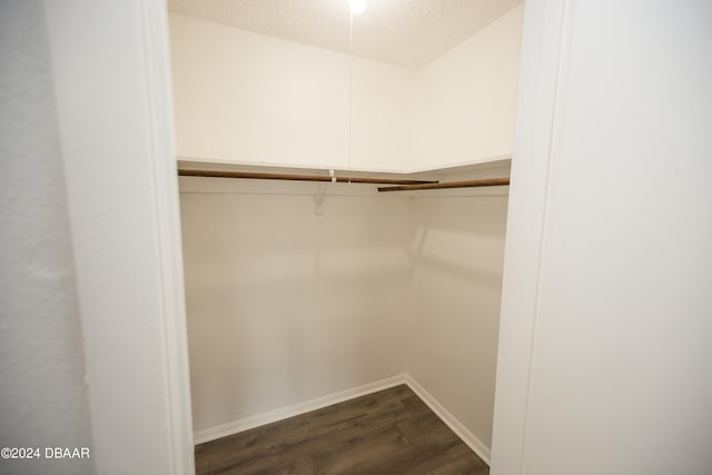 walk in closet featuring dark hardwood / wood-style flooring