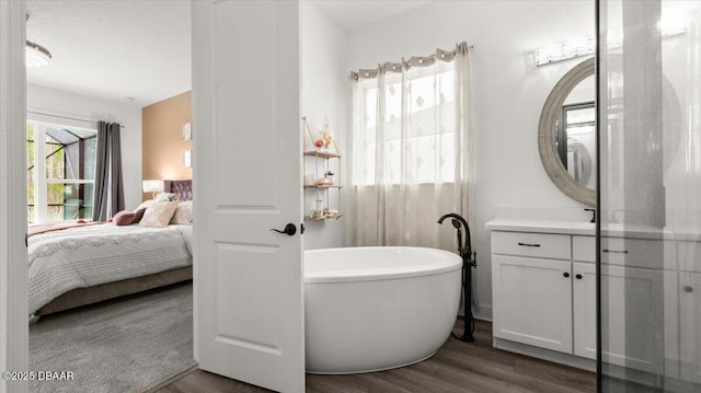 bathroom with wood-type flooring, a washtub, and vanity