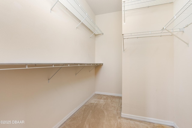 3065 Monaghan Dr, Ormond Beach, FL 32174 - photo 23