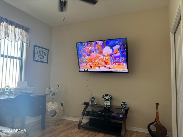 interior details with hardwood / wood-style floors