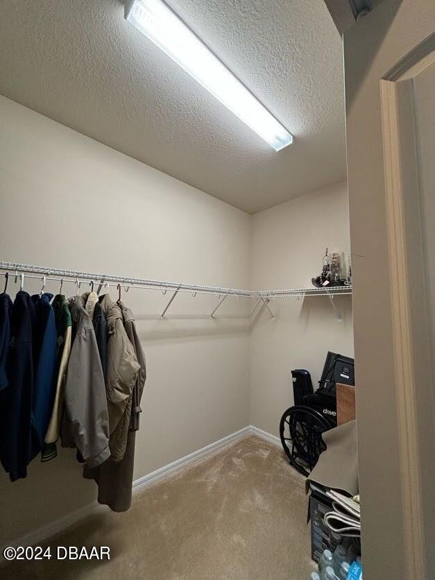 walk in closet with carpet floors