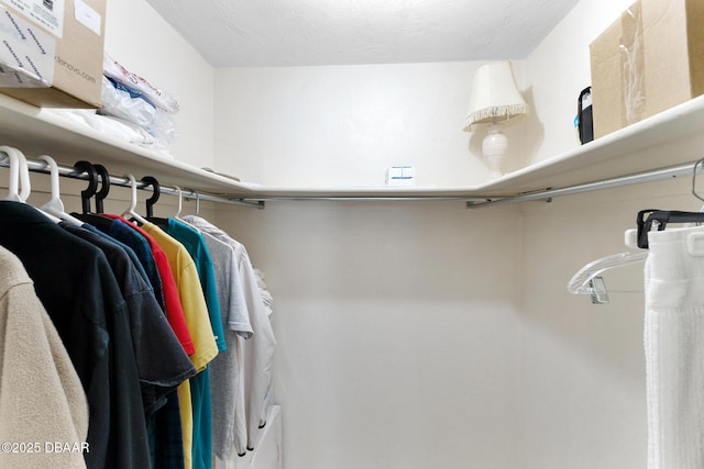 view of spacious closet