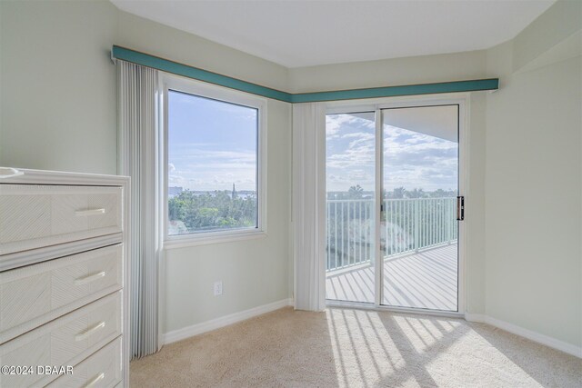 entryway featuring light colored carpet and a healthy amount of sunlight