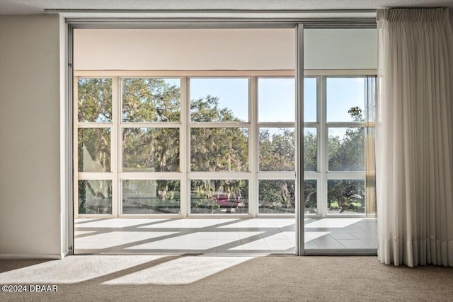 interior space featuring light colored carpet and a textured ceiling