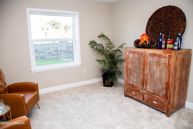 sitting room featuring baseboards and carpet