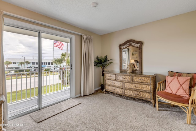 living area with a textured ceiling and carpet floors